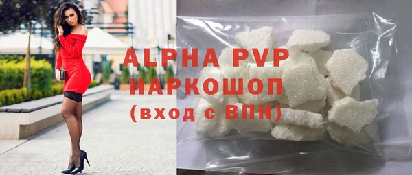 хмурый Абаза