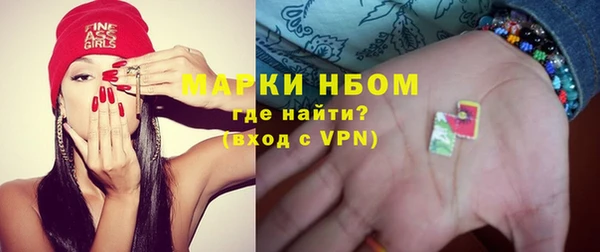 хмурый Абаза