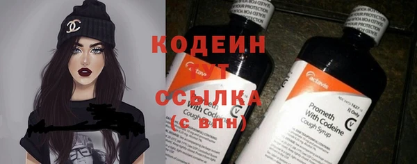 хмурый Абаза