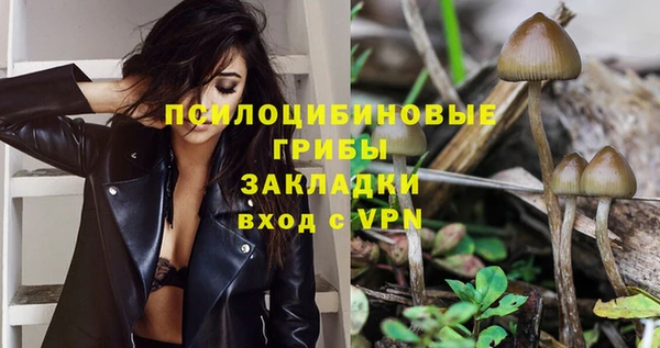дурь Абдулино