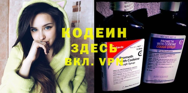 хмурый Абаза