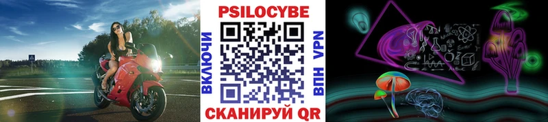 Галлюциногенные грибы Psilocybe  Тотьма 