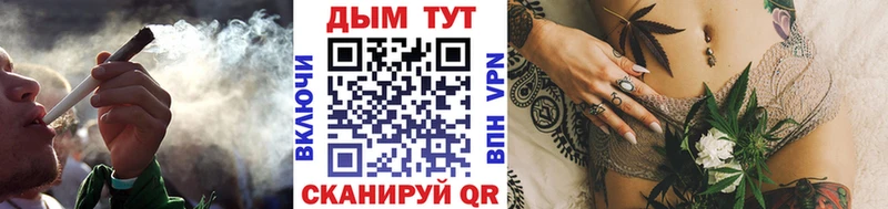 Конопля SATIVA & INDICA  Тотьма 